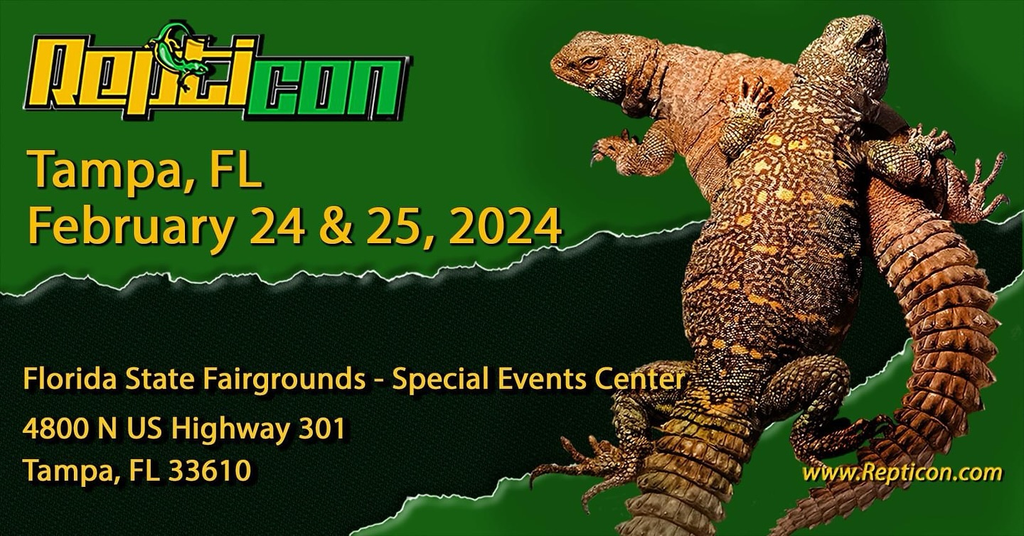 Repticon 2024 Schedule Meaning Herta Ladonna